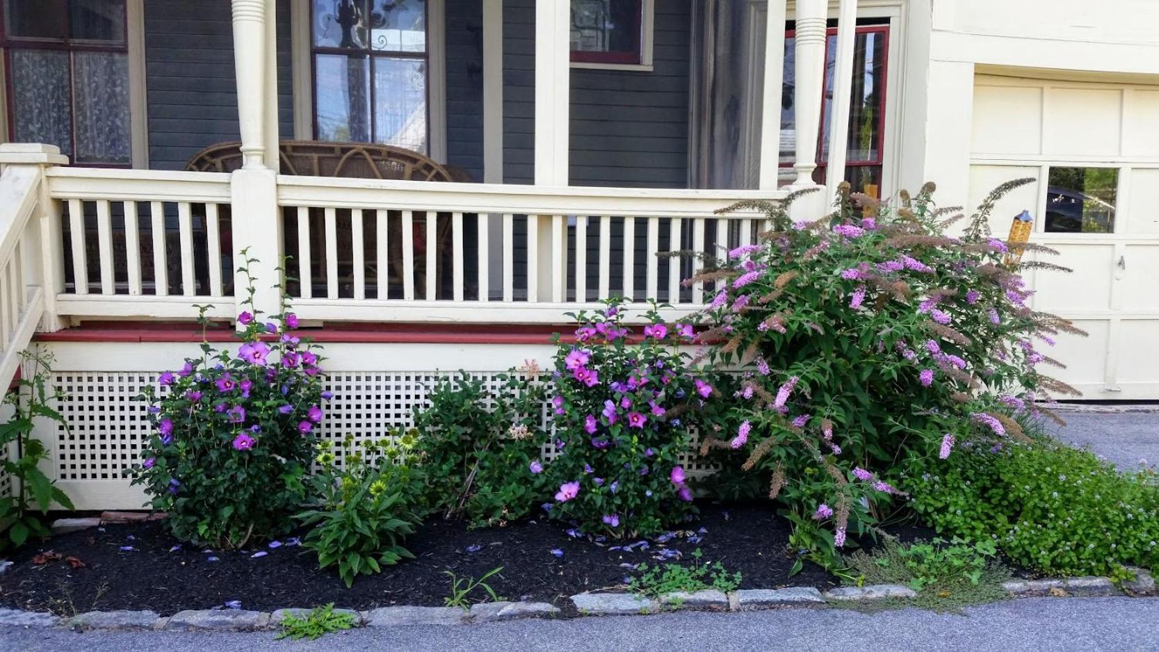Maine Victorian Mansion Saco Exterior foto